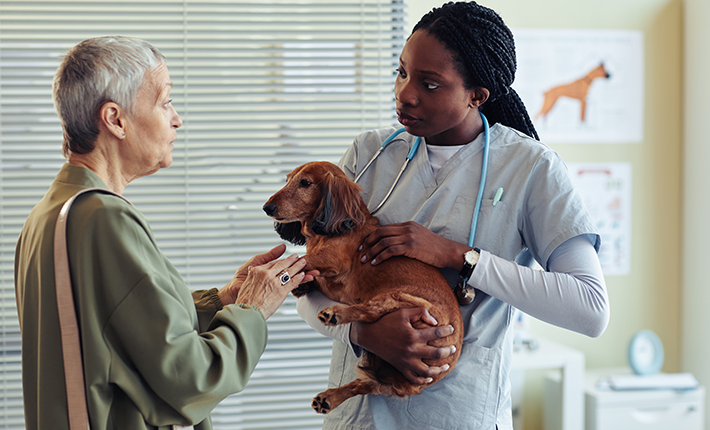 découvrez comment préparer votre chien pour son examen vétérinaire afin de réduire son stress et garantir un contrôle de santé optimal. conseils pratiques pour un rendez-vous serein et efficace avec le vétérinaire.