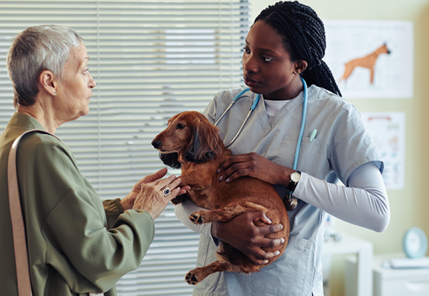 découvrez comment préparer votre chien pour son examen vétérinaire afin de réduire son stress et garantir un contrôle de santé optimal. conseils pratiques pour un rendez-vous serein et efficace avec le vétérinaire.