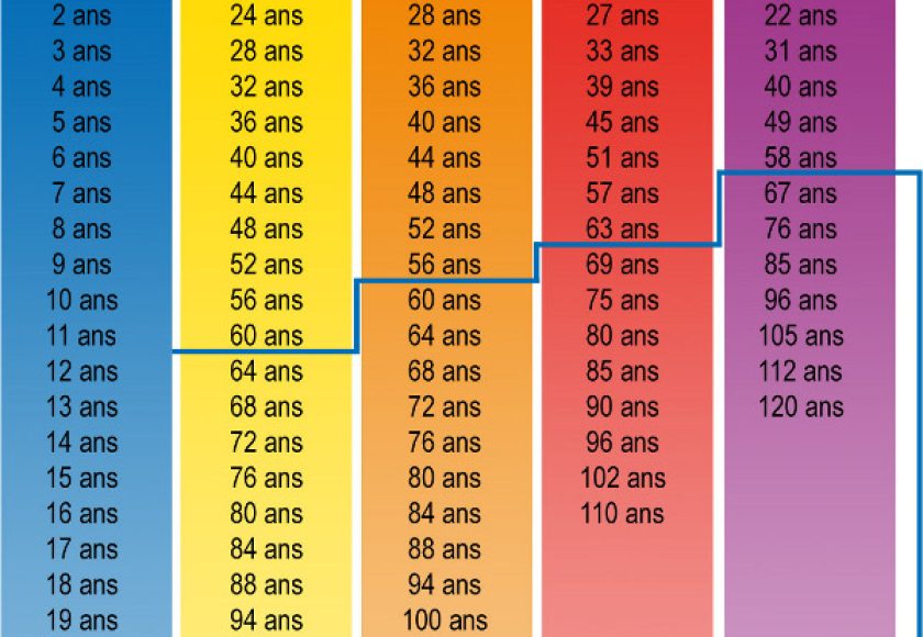 découvrez des conseils essentiels pour prendre soin de votre chien âgé. apprenez comment améliorer sa qualité de vie avec une alimentation adaptée, des exercices modérés et des conseils de santé pour prolonger ses années de bonheur à vos côtés.