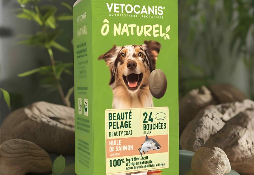 découvrez notre gamme de produits spécialement conçus pour prendre soin de la peau et du pelage de votre chien. offrez-lui un pelage brillant et une peau saine grâce à des soins adaptés à chaque besoin. explorez nos solutions naturelles et efficaces pour le bien-être de votre compagnon à quatre pattes.