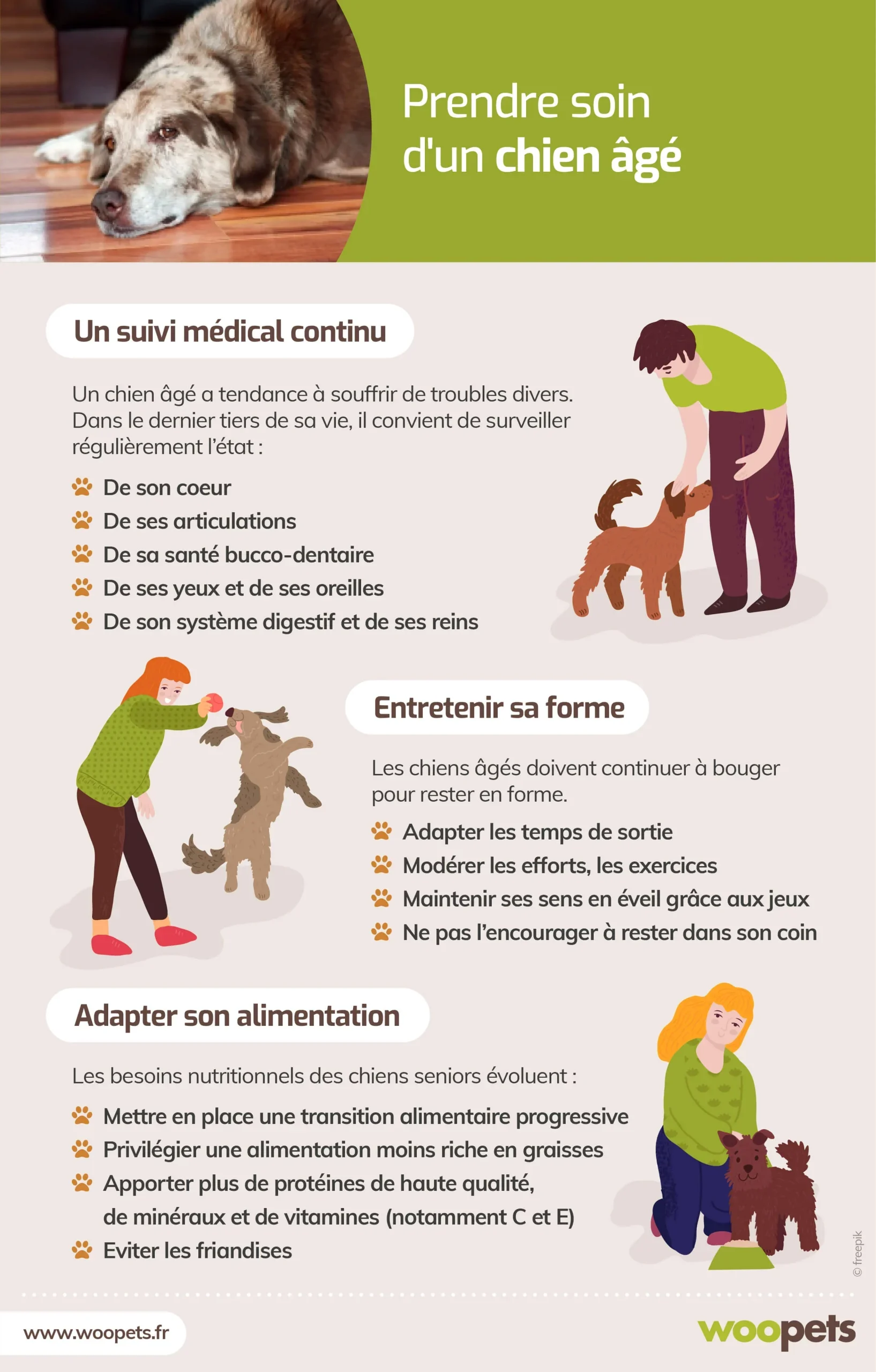 découvrez nos conseils et astuces pour prendre soin de votre chien au quotidien. apprenez-en davantage sur l'alimentation, le toilettage, l'exercice et la santé de votre fidèle compagnon.