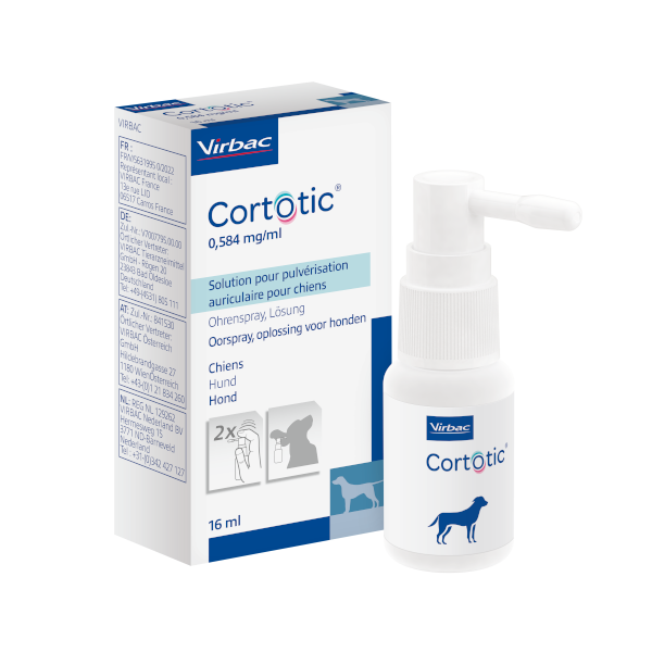 découvrez comment appliquer correctement les médicaments à votre chien pour assurer son bien-être. suivez nos conseils pratiques et faciles à mettre en œuvre pour rendre cette tâche plus simple et agréable, garantissant ainsi la santé de votre compagnon à quatre pattes.