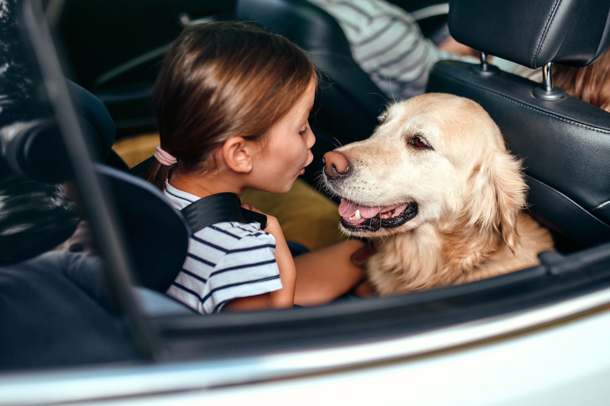 découvrez nos conseils pratiques pour préparer votre chien à un voyage en voiture. assurez le confort et la sécurité de votre compagnon à quatre pattes pendant vos déplacements, avec des astuces sur l'acclimatation et les essentiels à emporter.