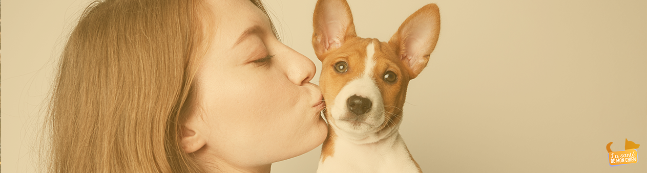 découvrez nos conseils et astuces pour le soin de votre chien. apprenez à assurer le bien-être de votre compagnon à quatre pattes grâce à des soins adaptés, des conseils nutritionnels et des recommandations vétérinaires. offrez à votre chien la meilleure qualité de vie possible.