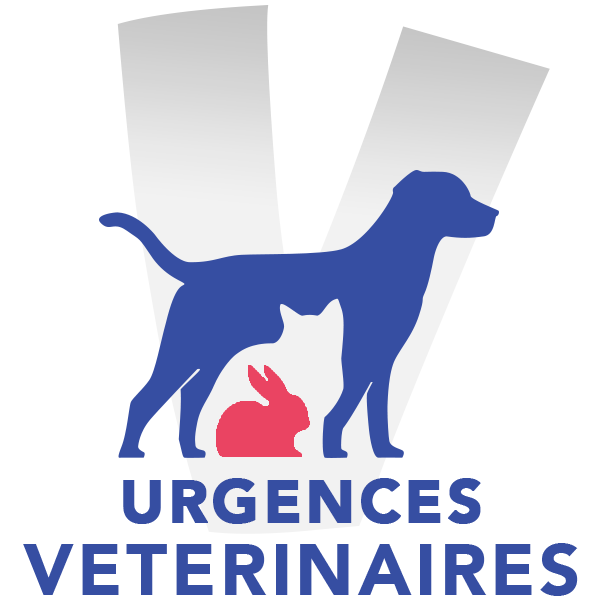 découvrez nos services d'urgence vétérinaire pour chiens. une équipe dédiée et des soins rapides pour les urgences de votre compagnon à quatre pattes. votre chien mérite le meilleur en toutes circonstances.