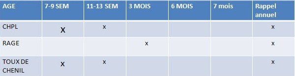 découvrez tout ce qu'il faut savoir sur les vaccins pour chiens : leur importance, les différents types de vaccins, le calendrier de vaccination et les conseils pour assurer la santé de votre compagnon à quatre pattes.