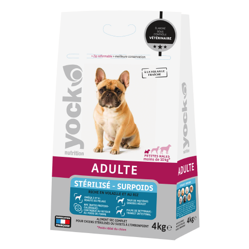 découvrez des conseils pratiques et des solutions d'alimentation pour aider votre chien en surpoids à retrouver un poids santé. apprenez à choisir les meilleures croquettes, à équilibrer son régime alimentaire et à adapter ses portions pour favoriser sa santé et son bien-être.