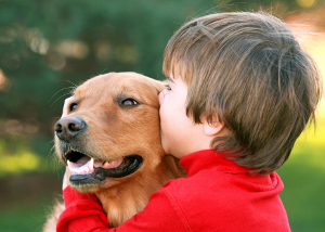 découvrez comment choisir le vétérinaire idéal pour votre chien afin d'assurer sa santé et son bien-être. consultez nos conseils pratiques pour trouver un professionnel de confiance et répondre aux besoins de votre compagnon à quatre pattes.