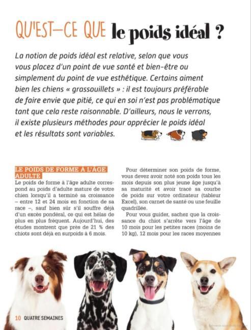 découvrez comment déterminer le poids idéal pour votre chien. apprenez les critères à prendre en compte pour assurer la santé et le bien-être de votre compagnon à quatre pattes.