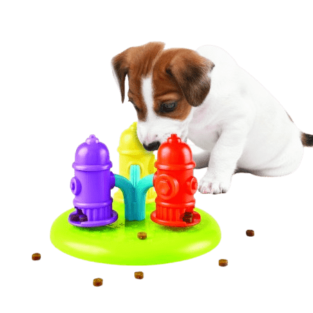 découvrez des activités passionnantes de stimulation mentale pour chiens ! améliorez le bien-être et l'intelligence de votre compagnon à quatre pattes grâce à des jeux interactifs, des puzzles et des exercices qui renforcent votre lien et préviennent l'ennui.