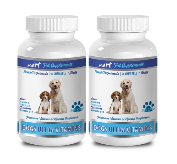 découvrez l'importance des vitamines et minéraux pour la santé de votre chien. apprenez à choisir les meilleurs compléments alimentaires pour garantir un équilibre nutritionnel optimal et améliorer le bien-être de votre compagnon à quatre pattes.